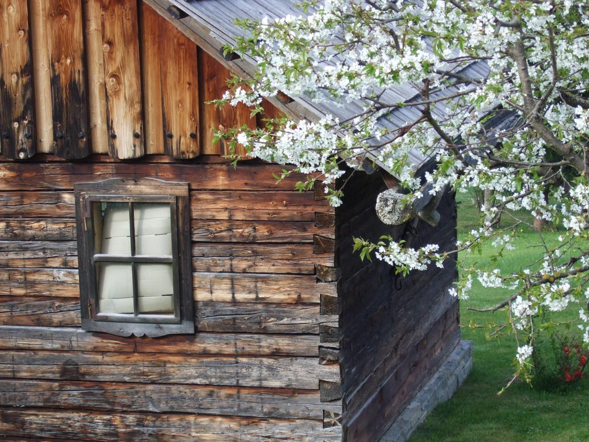 Ferienwohnungen Trattner Mauterndorf  Exterior photo